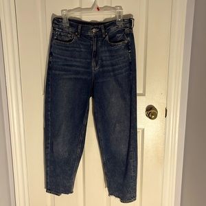 American Eagle Size 8 Short Relaxed Mom Jean
